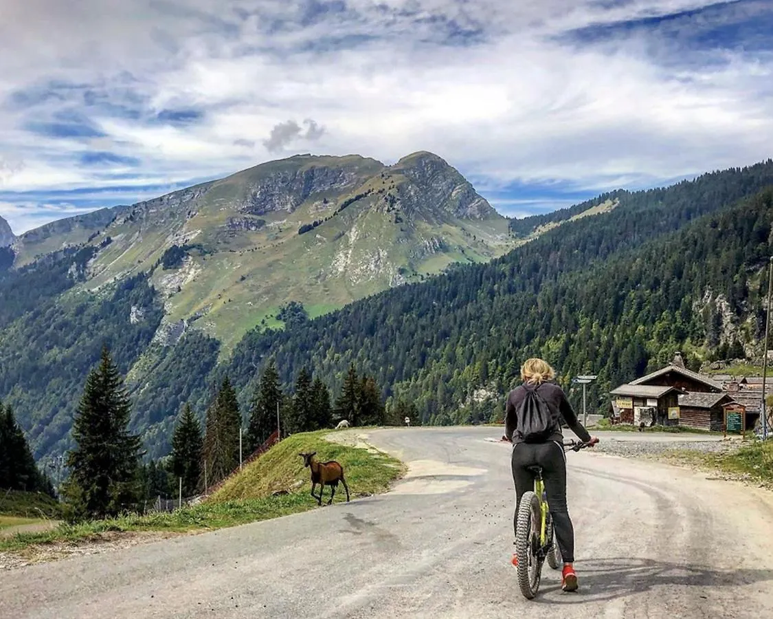 Chalet Micro-Lodge, Le Petit Nid D'Amour Montriond Frankrijk