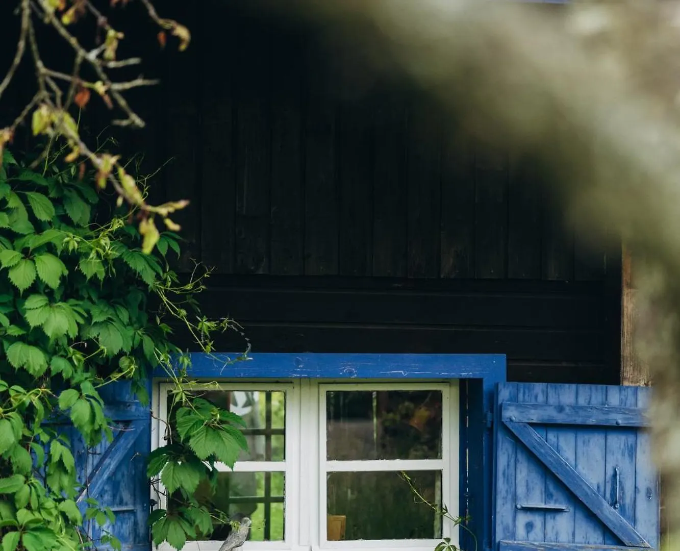 Chalet Micro-Lodge, Le Petit Nid D'Amour Montriond