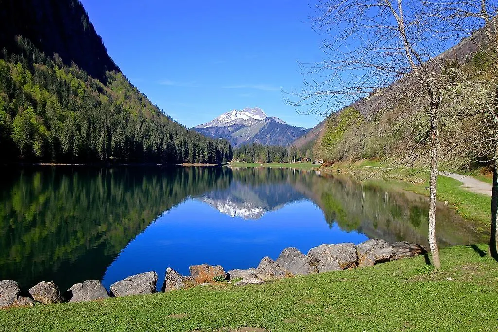 Micro-Lodge, Le Petit Nid D'Amour Montriond Francia