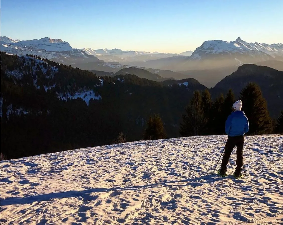 Micro-Lodge, Le Petit Nid D'Amour Montriond 0*,