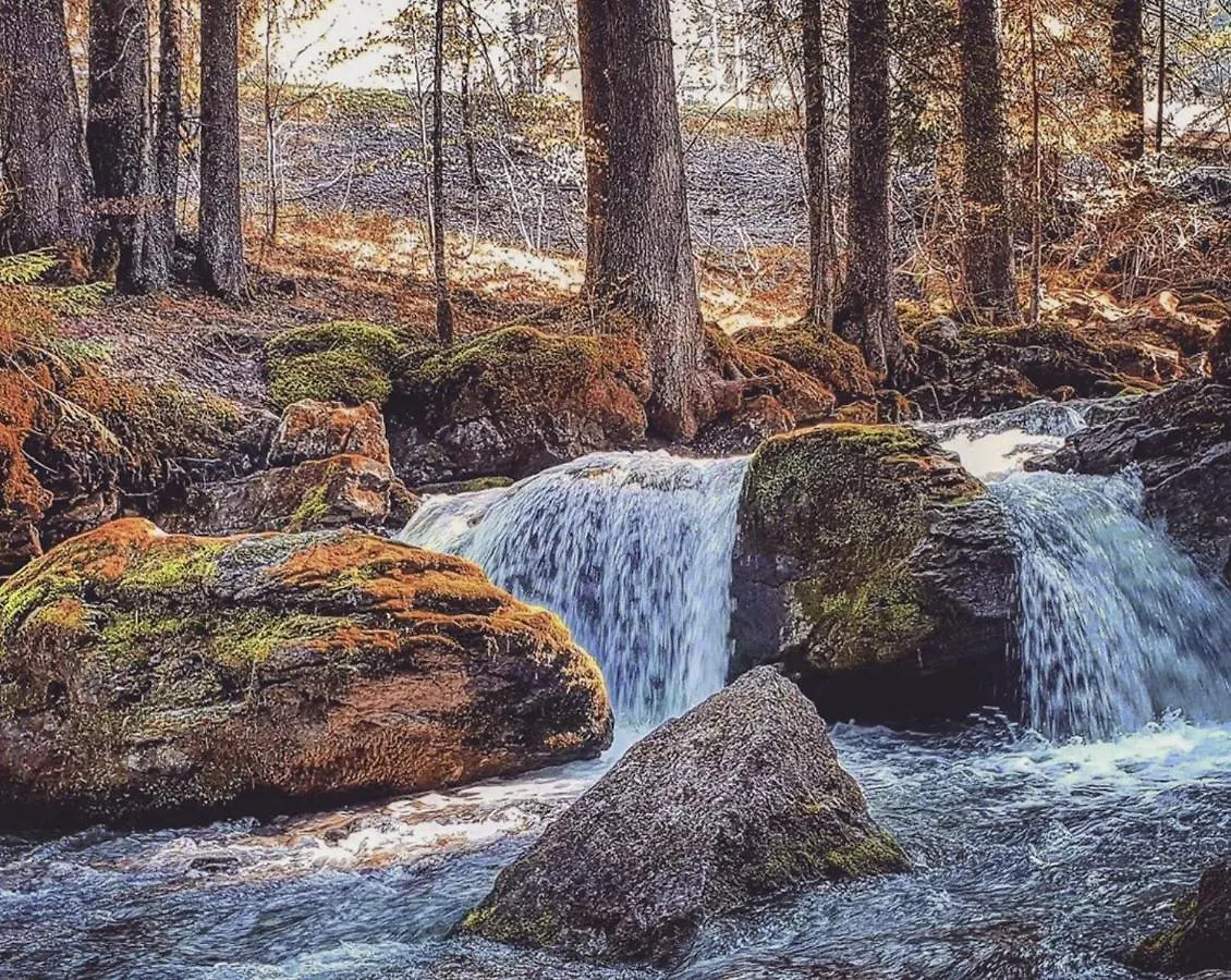 Micro-Lodge, Le Petit Nid D'Amour Montriond